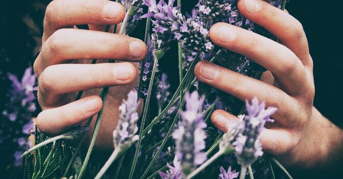 Health and Wellness Consult