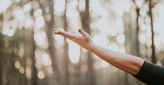 Health and Wellness Consult