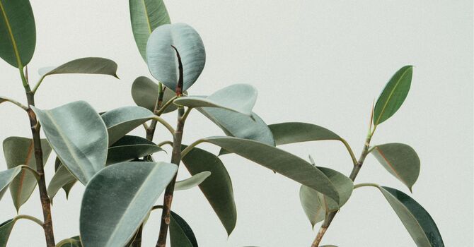 Acupuncture Initial Visit